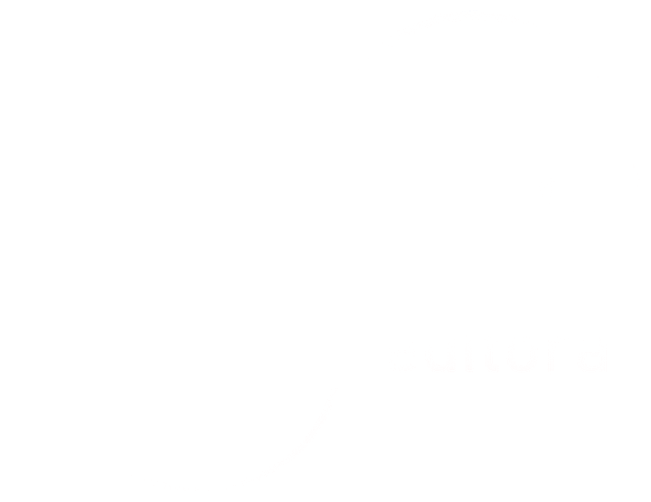 Editora Transiente